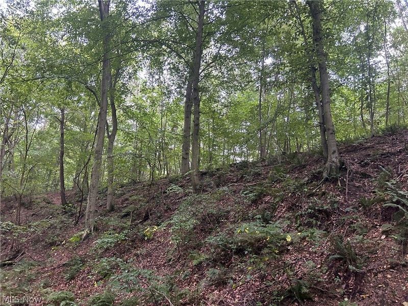 Township Rd. 282 , Coshocton, OH 43812 Photo 15