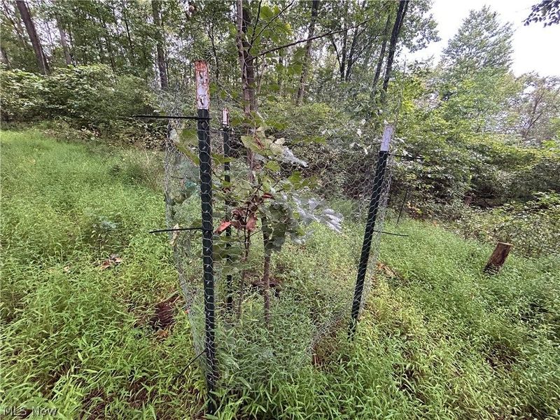 Township Rd. 282, Coshocton, OH 43812 Photo 18