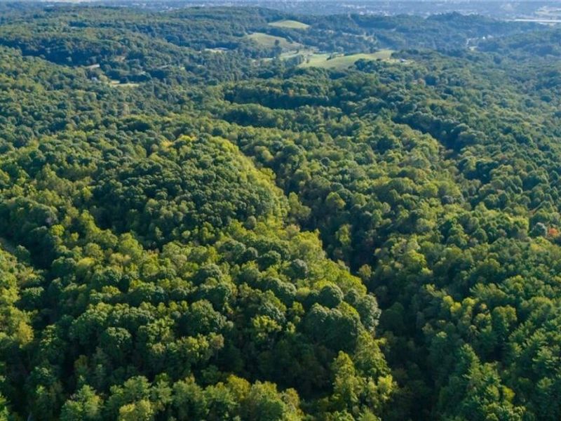Township Rd. 282, Coshocton, OH 43812 Photo 20