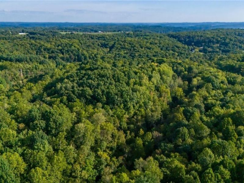 Township Rd. 282 , Coshocton, OH 43812 Photo 21