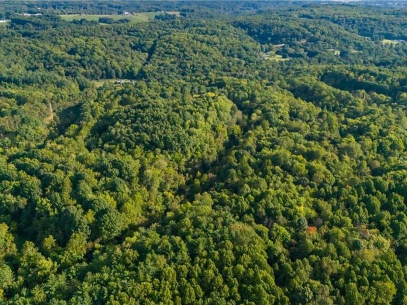 Township Rd. 282 , Coshocton, OH 43812 Photo 22