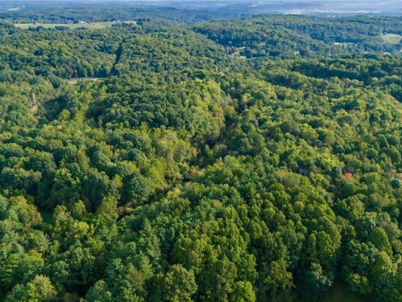 Township Rd. 282 , Coshocton, OH 43812 Photo 24