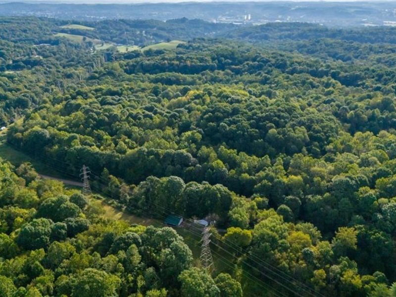 Township Rd. 282 , Coshocton, OH 43812 Photo 25