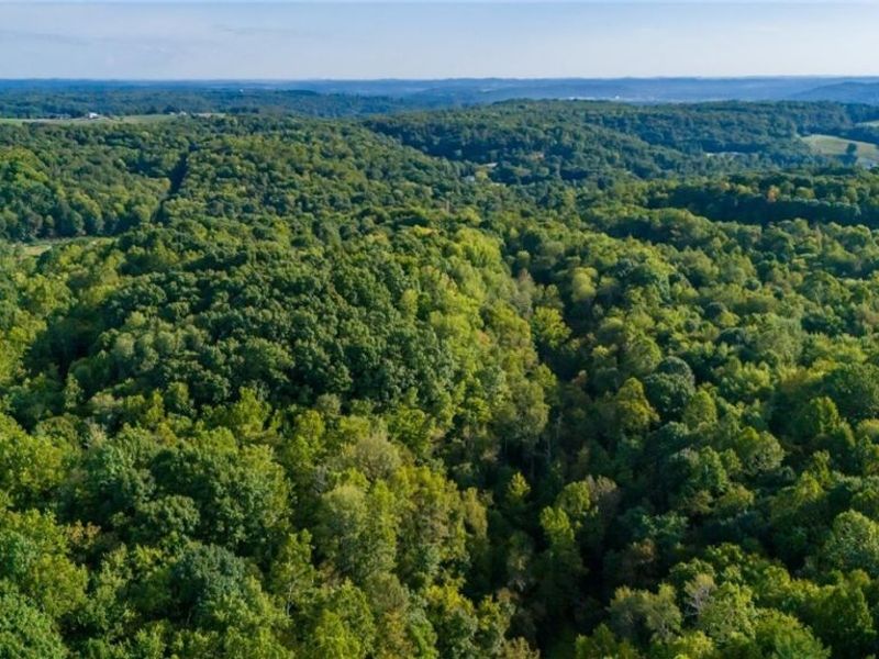 Township Rd. 282, Coshocton, OH 43812 Photo 26