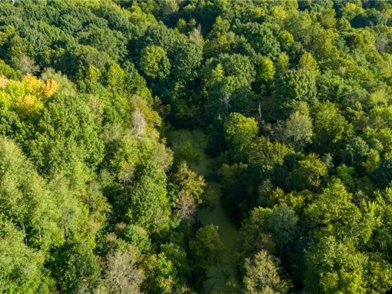 Township Rd. 282 , Coshocton, OH 43812 Photo 27