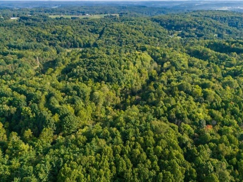 Township Rd. 282 , Coshocton, OH 43812 Photo 3