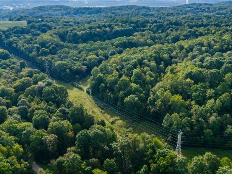 Township Rd. 282, Coshocton, OH 43812 Photo 30