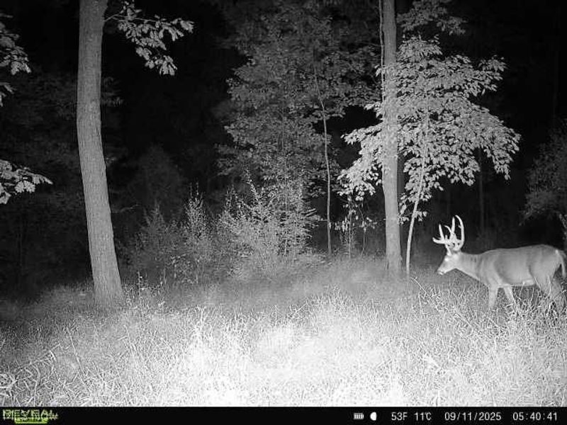 Township Rd. 282, Coshocton, OH 43812 Photo 37