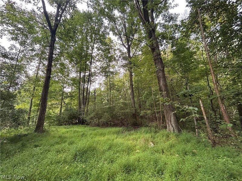 Township Rd. 282 , Coshocton, OH 43812 Photo 5