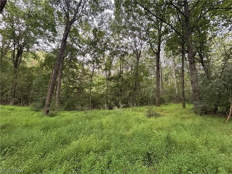 Township Rd. 282, Coshocton, OH 43812 Photo 6