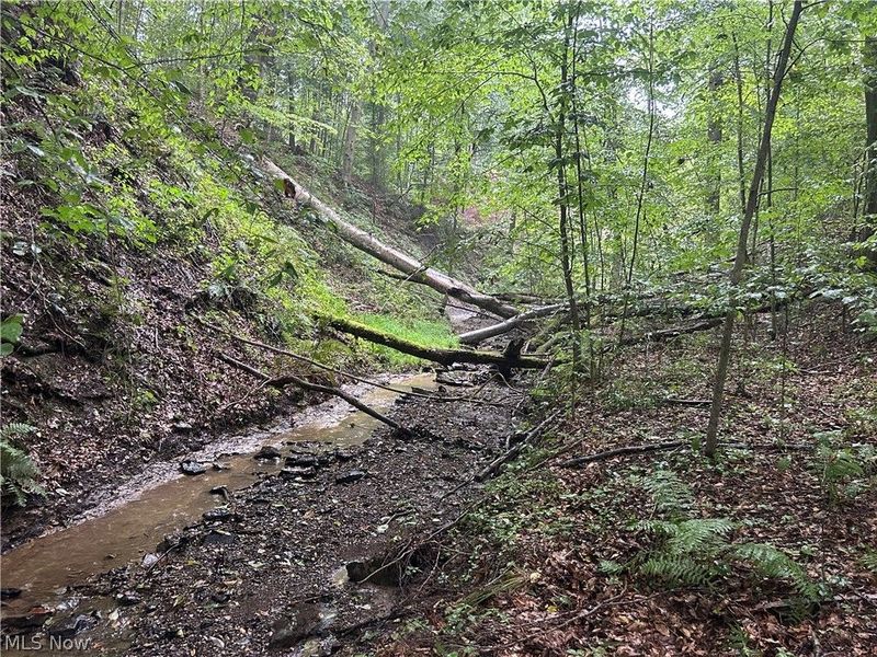 Township Rd. 282 , Coshocton, OH 43812 Photo 7
