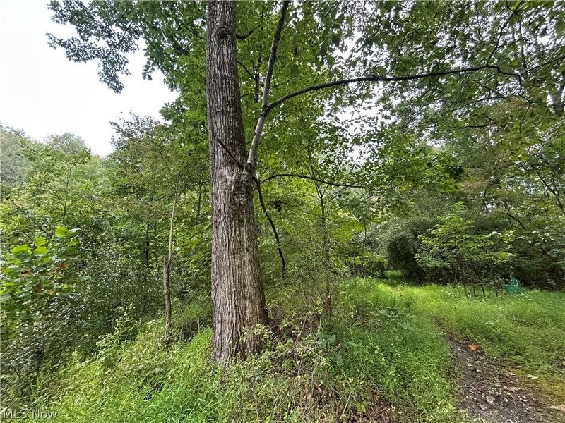 Township Rd. 282, Coshocton, OH 43812 Photo 8
