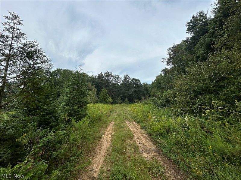 Township Rd. 282 , Coshocton, OH 43812 Photo 9