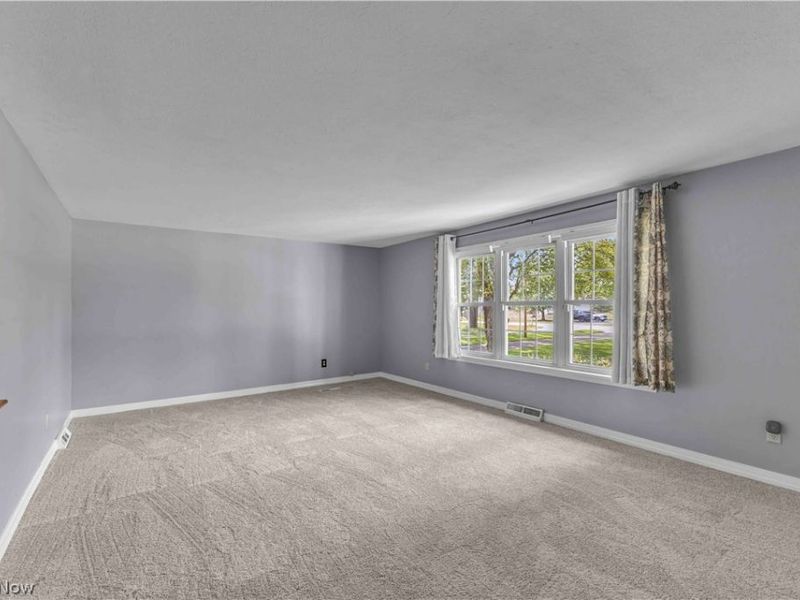 12101 S Durkee Road, Grafton, OH 44044 Photo 5