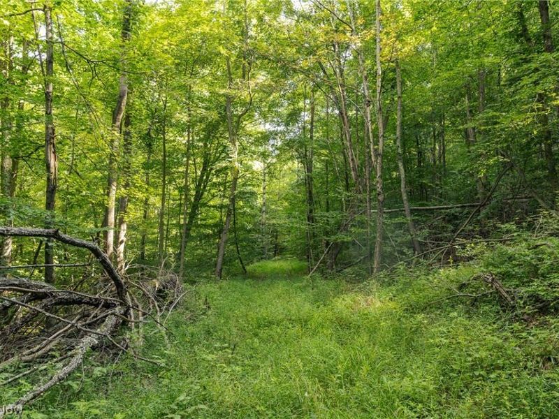 2115 Goss Fork Road, Whipple, OH 45788 Photo 13
