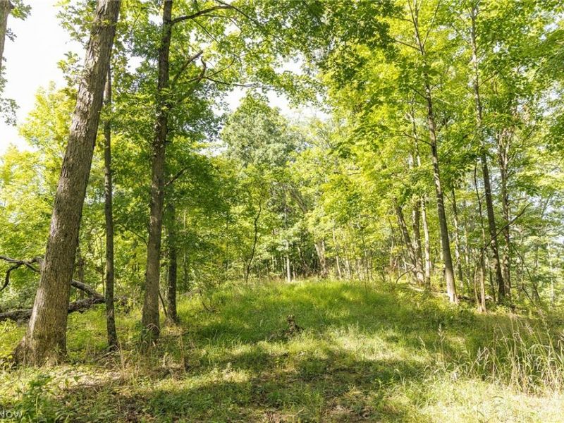 2115 Goss Fork Road, Whipple, OH 45788 Photo 15