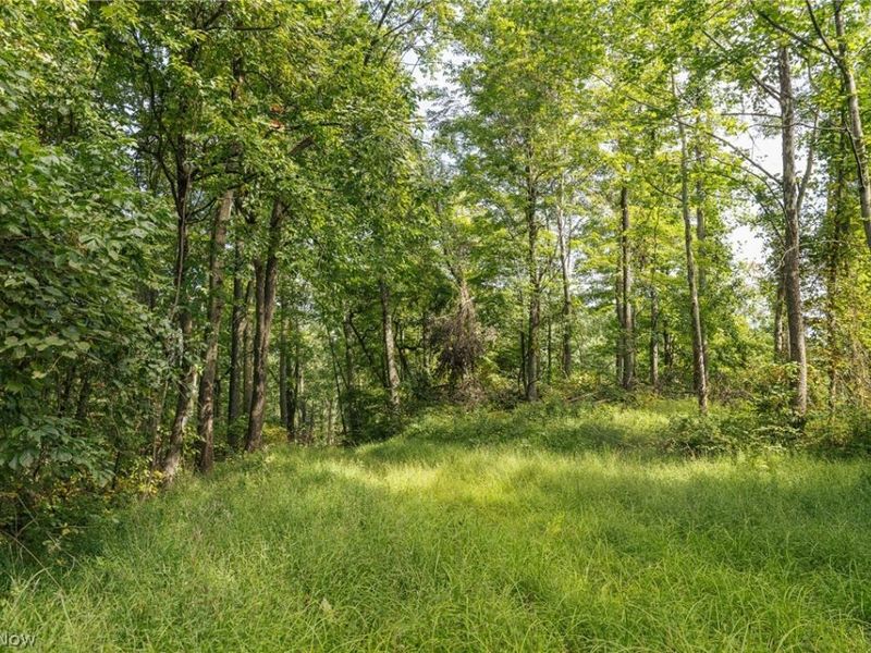 2115 Goss Fork Road, Whipple, OH 45788 Photo 18