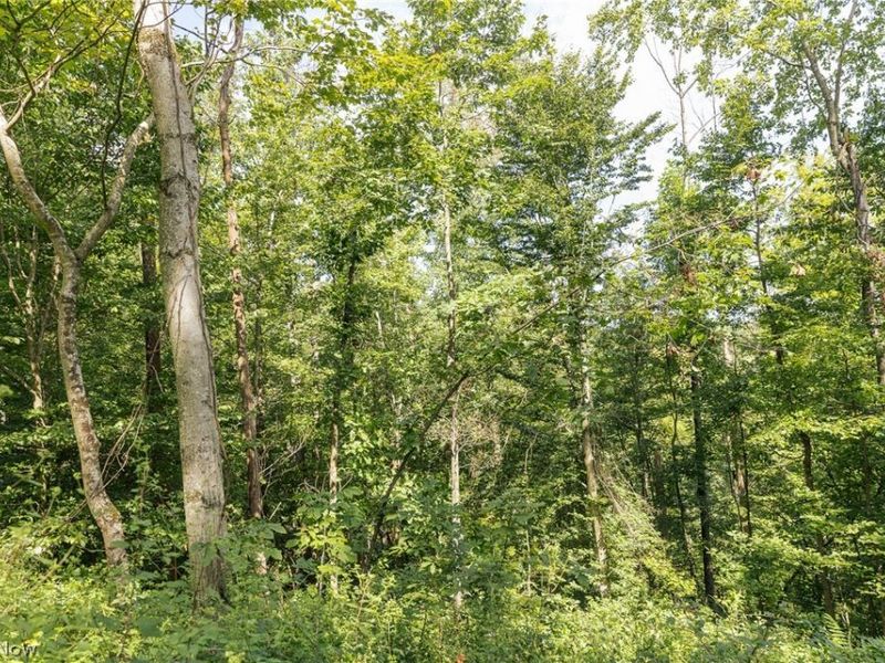 2115 Goss Fork Road, Whipple, OH 45788 Photo 26