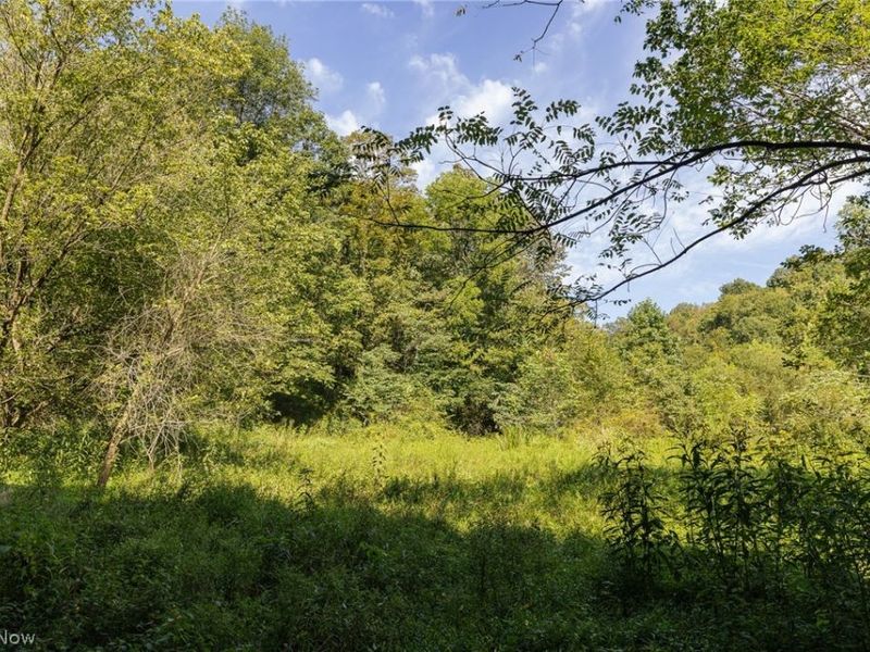 2115 Goss Fork Road, Whipple, OH 45788 Photo 28