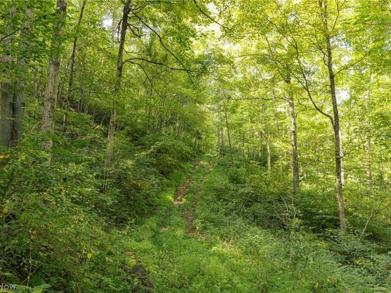 2115 Goss Fork Road, Whipple, OH 45788 Photo 31