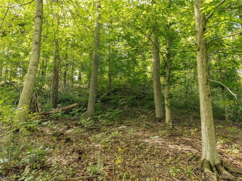 2115 Goss Fork Road, Whipple, OH 45788 Photo 33