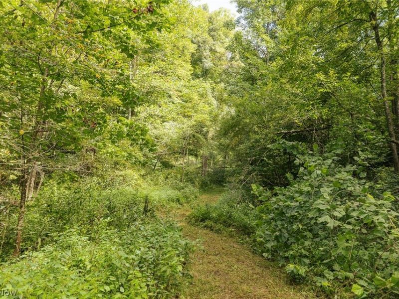 2115 Goss Fork Road, Whipple, OH 45788 Photo 43