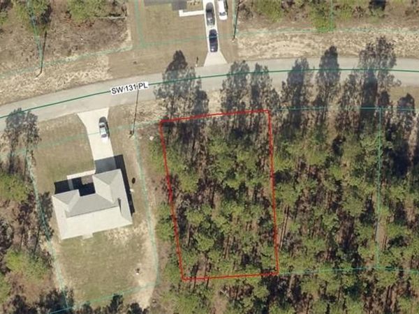 8012-1447-11 SW 131 PL, OCALA, FL 34473