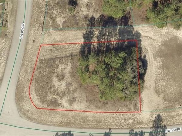 8012-1487-19 SW 131 Street PL, OCALA, FL 34473