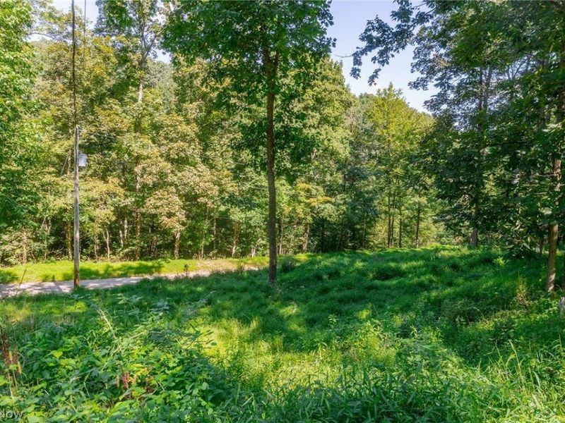 13420 Township Road 26, Killbuck, OH 44637 Photo 42