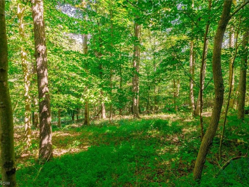 13420 Township Road 26, Killbuck, OH 44637 Photo 44