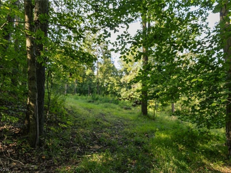 2115 Goss Fork Road, Unit 1, Whipple, OH 45788 Photo 11