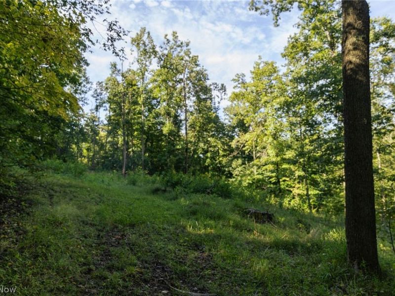 2115 Goss Fork Road, Unit 1, Whipple, OH 45788 Photo 12