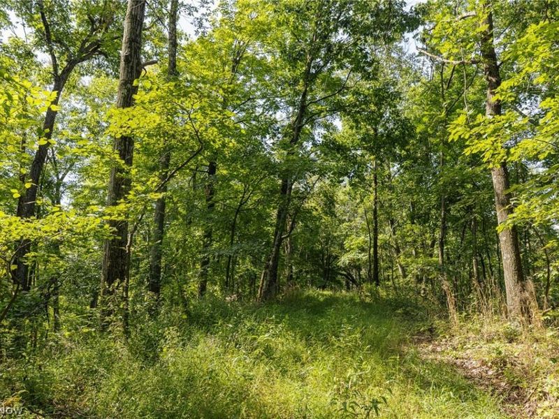 2115 Goss Fork Road, Unit 1, Whipple, OH 45788 Photo 22
