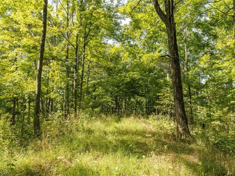 2115 Goss Fork Road, Unit 1, Whipple, OH 45788 Photo 24