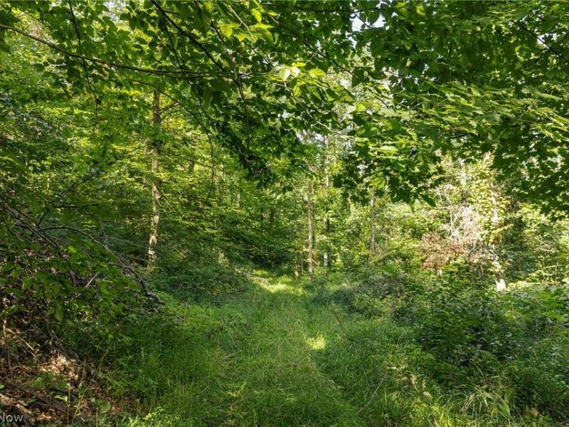 2145 Deans Fork Road, Unit 2, Whipple, OH 45788 Photo 11