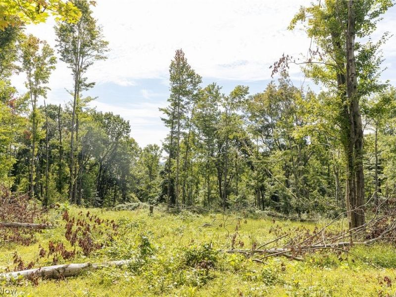 2145 Deans Fork Road, Unit 2, Whipple, OH 45788 Photo 13