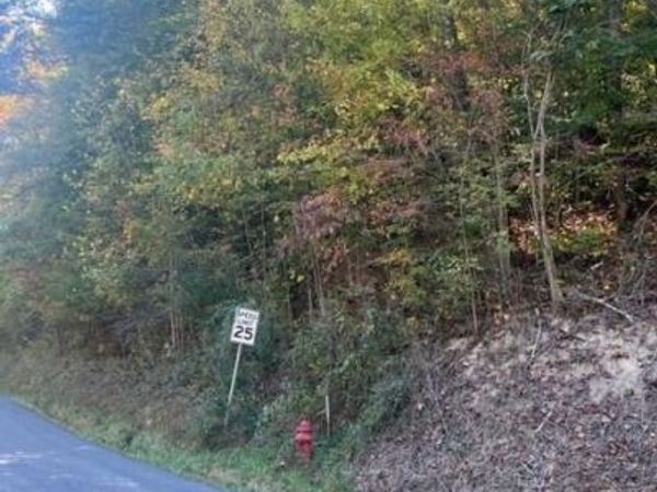 0 Cave Springs/Elytown Road, Pennington Gap, VA 24277