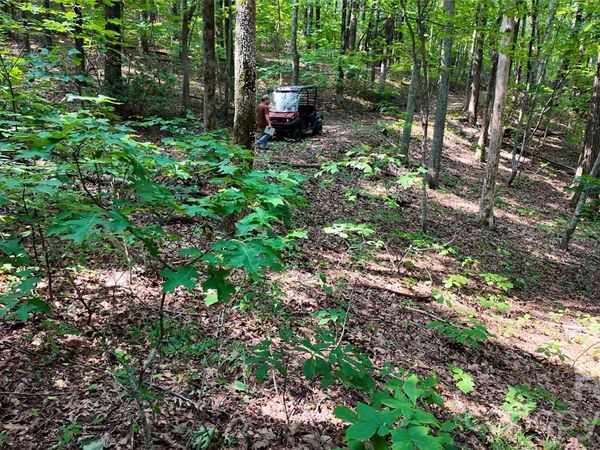 Lot 3 Hogback Mountain Road , Tryon, NC 28782