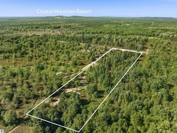 17461 Springdale Road, Thompsonville, MI 49683