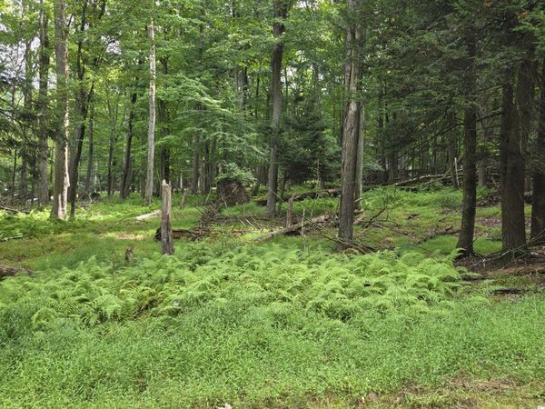 0 W Blackfoot Drive, North Union Twp., PA 17985