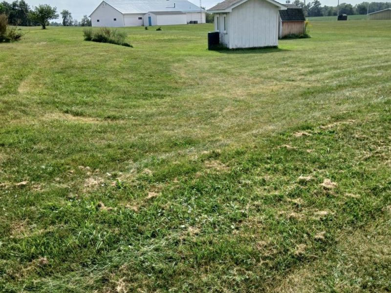 132 Ash Street, Attica, OH 44807 Photo 5