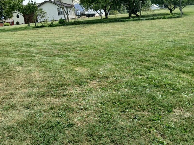 132 Ash Street, Attica, OH 44807 Photo 9