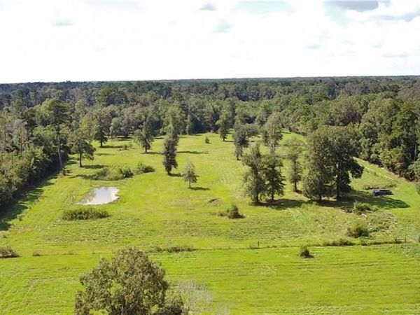 lot 1 CAREW HARRIS Road, Denham Springs, LA 70726