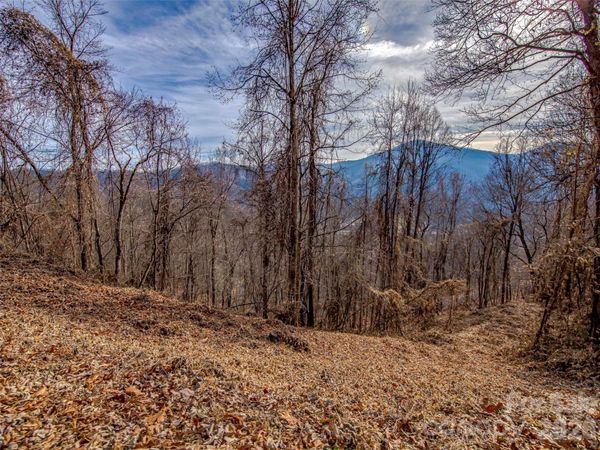 39 Grandview Cliff Heights , Maggie Valley, NC 28751
