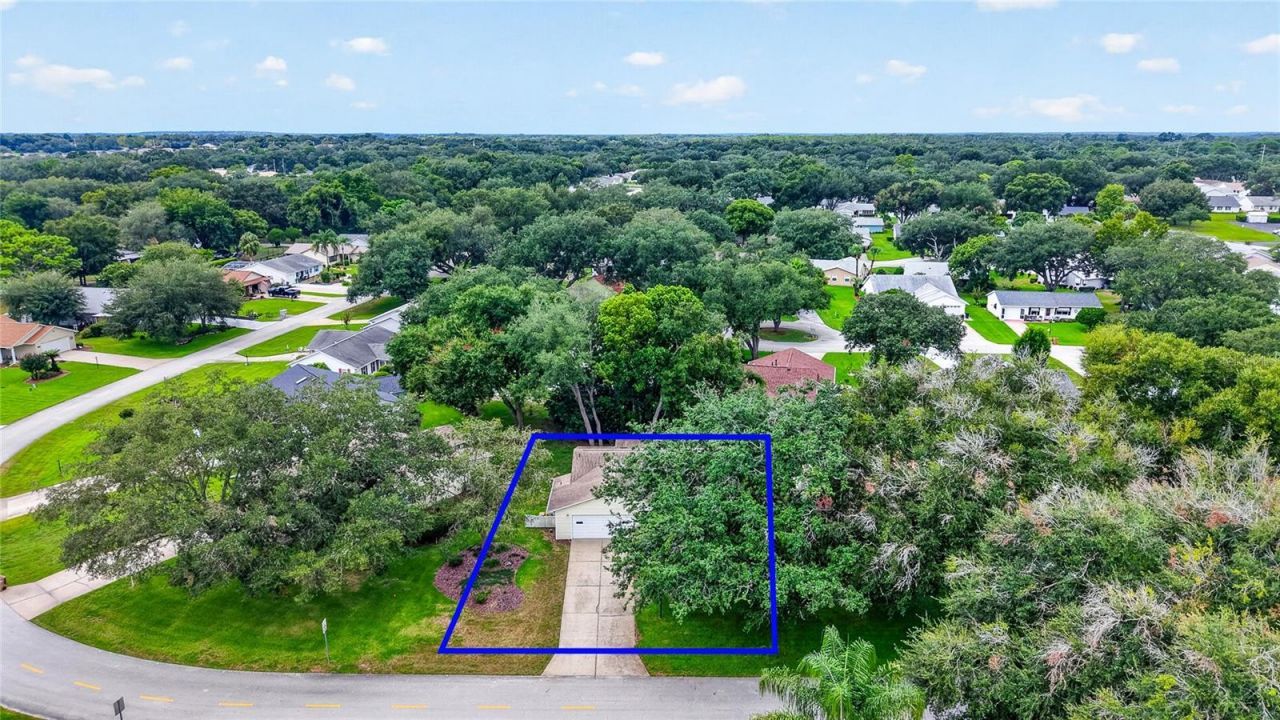 822 Dundee Circle, Leesburg, FL 34788 Photo
