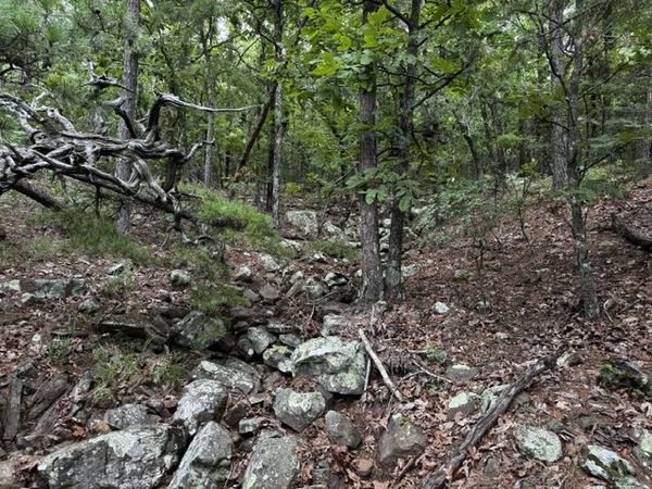 Boggy Mountain Road , Red Oak, OK 74563