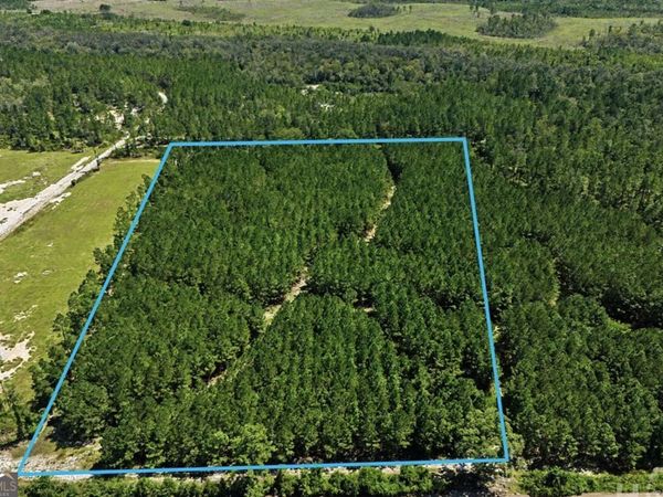 0 Mill Branch Club Rd 1O, Pembroke, GA 31321