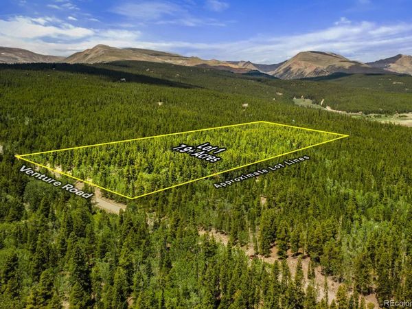 Lot 1 Venture Road, Fairplay, CO 80440