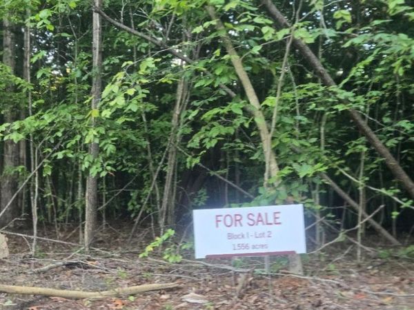 Lot 2 Bk I Ravenwood Drive, Wartburg, TN 37887