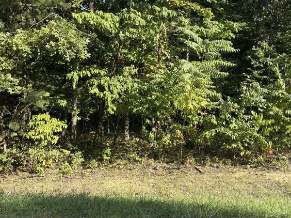 151 Beachwood Drive, Crossville, TN 38558